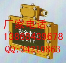 防爆电气设备概览 防爆灯、防爆接线箱、防爆配电箱及产品系列解析